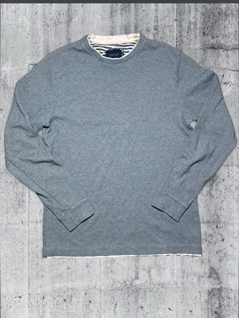 Cactus Grey Striped-Trim Crewneck Sweater